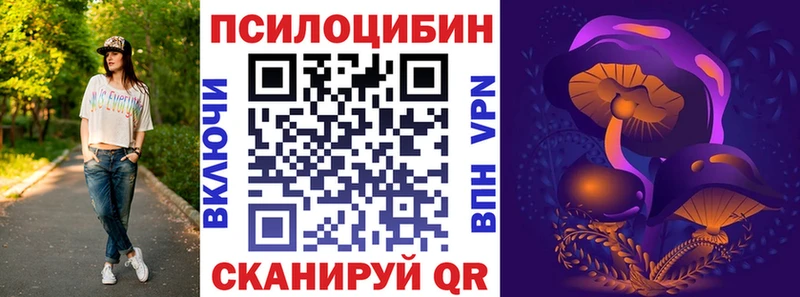 купить закладку  Шилка  Галлюциногенные грибы GOLDEN TEACHER 